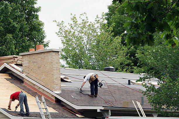 Best Roof Gutter Cleaning  in Estill Springs, TN